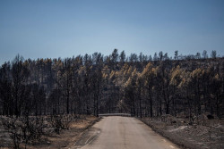 Emergencias pide no ir a hacerse fotos a las zonas quemadas de Bej&iacute;s y Vall d`Ebo: "Es una temeridad"