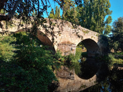 ¡Éramos felices y no lo sabíamos?!   Por Pedro Arce