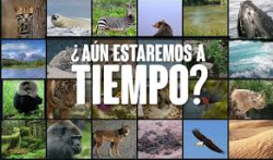 Especies extinguidas en España