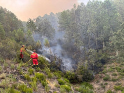 Estabilizado el incendio de Sevilleja de la Jara (Toledo)