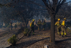 Estabilizan frentes este y norte en Fermoselle que reduce peligrosidad aunque tiene cuatro sectores activos