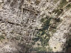 Estalactitas en el túnel de Tetuán en la entrada por el Sardinero.