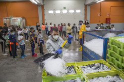 Este fin de semana en Santo&ntilde;an  concurso de guisos marineros entre pescadores