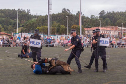 Éxito de público y participación en las I Jornadas de Perros Policía en Torrelavega