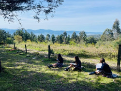 Expertos de Harvard analizan en España el aprendizaje en entornos fuera del aula: "Mejora el bienestar y el rendimiento"