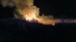 Extiguido el incendio con seis focos en s`Albufera, que se investiga como intencionado