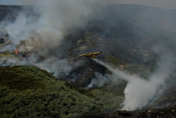 Extinguido el incendio que afectaba al Parque Natural do Xur&eacute;s, que ha arrasado m&aacute;s de 600 hect&aacute;reas