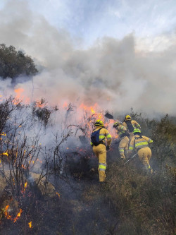  Extinguidos los tres incendios forestales registrados este jueves en Herrer&iacute;as, Riotuerto y Cabu&eacute;rniga