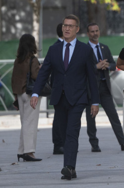 Feij&oacute;o invita a los constitucionalistas a sumarse al acto del PP en Plaza de Espa&ntilde;a contra la "cacicada" de la amnist&iacute;a