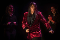 `Flamenco Real` despide ma&ntilde;ana el a&ntilde;o con `Jubileo` del bailaor flamenco `El Yiyo`, hasta el viernes en el Teatro Real