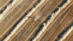 Fundaci&oacute;n ENAIRE celebrar&aacute; en las Naves de Gamazo el encuentro PHotoESPA&Ntilde;A para descubrir nuevos talentos