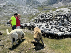 Ganader&iacute;a abonar&aacute; desde el viernes 3,2 millones de euros de varias l&iacute;neas de ayuda para 3.683 beneficiarios