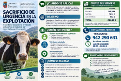 Ganader&iacute;a pone en marcha del procedimiento de sacrificio de urgencia en explotaci&oacute;n