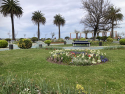 Gema Igual adjudica las obras de renovación de los Jardines de Piquío, que comenzarán en septiembre