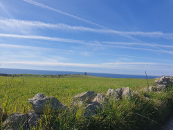 Gema Igual adjudicará a Tecnigral por casi 160.000 euros  la redacción el Plan de Infraestructura Verde Santander Capital Natural (¿?)