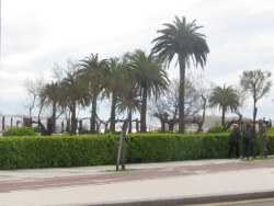 Gema Igual no tiene "ninguna duda" de que la oferta de la adjudicataria de Parques y Jardines cumple la ley