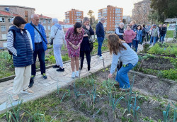 Gema Igual  recuperará la fiesta de San Isidro, dice, para fomentar lazos de convivencia entre los hortelanos.¿?
