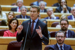 `G&eacute;nova` censura que S&aacute;nchez responda a la mano tendida de Feij&oacute;o acusando al PP de "estorbar": "Es una equivocaci&oacute;n"