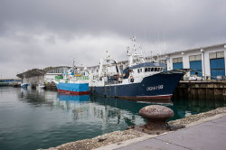 Gracias a la presión de la Cofradía de pescadores a  la APS una de las hojas del Puente de Raos podría estar reparada a finales de agosto 