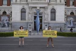 Greenpeace cuelga un tibur&oacute;n de 5 metros de la puerta del Ministerio de Pesca para denunciar las capturas descontroladas