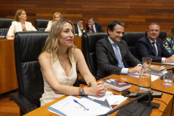 Guardiola (PP) aplaza su Junta Directiva y subraya el "imprescindible respeto" y "di&aacute;logo" con Vox para formar gobierno