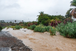 `Hermine` deja lluvias "hist&oacute;ricas" y "excepcionales" en Canarias y torrenciales en el Mediterr&aacute;neo