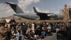 Huidos, rescatados, evacuados, liberados y abandonados.