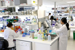 IDIVAL y UC desarrollan quimioterapia "a la carta" que ataca tumores sin dañar tejidos sanos