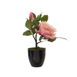 Igual apuesta por una red de espacios verdes para que cada persona pueda ver al menos 3 árboles desde su casa