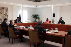 Illa dice que los test de diagn&oacute;stico se empezar&aacute;n a hacer lo "m&aacute;s pronto posible"