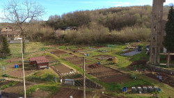 Iniciada la nueva temporada de trabajo en los huertos de Sar&oacute;n