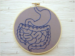 Iniciado un ensayo cl&iacute;nico tras descubrirse que el litio puede prevenir el c&aacute;ncer de intestino