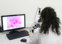 Inmun&oacute;loga llama a apostar por centros de excelencia traslacional para llevar las terapias avanzadas a los pacientes