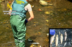  Investigado el responsable de una explotaci&oacute;n ganadera de Saro por el vertido en los r&iacute;os Pisue&ntilde;a y Llerana