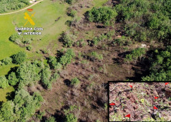 Investigado un hombre como autor de un incendio forestal en Valderredible