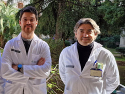 Investigadores aplican con éxito un nuevo tratamiento para la psicosis afectiva