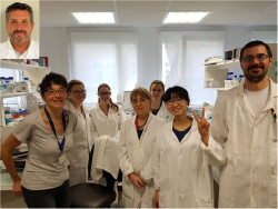 Investigadores de IDIVAL participan en un estudio que abre nuevas vías para tratar la enfermedad inflamatoria intestinal