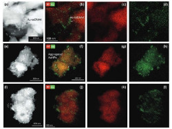 Investigadores desarrollan la primera prueba rápida para detectar la viruela del mono