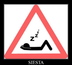 Investigadores descubre la f&oacute;rmula contra la somnolencia, un caf&eacute; y una siesta te mantienen alerta