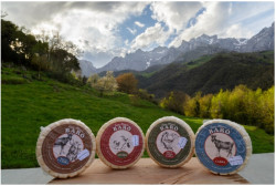 Isabel Casares y Toño, de Quesería Baró…., por Pedro Arce