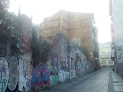 IU dice que el PP ha convertido el Cabildo en "el ejemplo de su falta de plan" para Santander