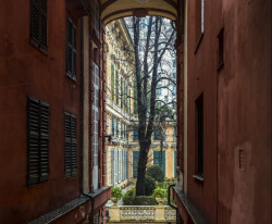 Jos&eacute; Manuel Ballester acerca a las Naves de Gamazo la uni&oacute;n de la fotograf&iacute;a y la pintura a trav&eacute;s de los &aacute;rboles