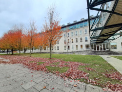 Juzgan hoy a un hombre con orden de alejamiento que entró por el balcón a casa de su expareja