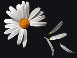 La abstención y la indecisión