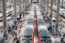 La alta velocidad ferroviaria supera los 4 millones de viajeros en junio, con un crecimiento del 14,3%