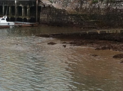 La Autoridad Portuaria hace dejación de sus obligaciones. ¿?