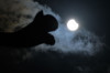  La Bah&iacute;a de Santander o Picos de Europa, entre los mejores puntos para observar el eclipse solar en Cantabria
