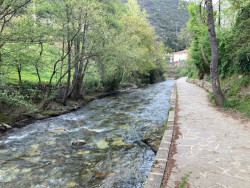 La banca en la España vaciada.    Germán Gorraiz López-Analista 