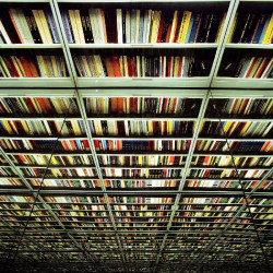 La Biblioteca Central expone la obra `The Library` del artista fotogr&aacute;fico Nicol&aacute;s Grospierre