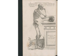 La BNE explora la relaci&oacute;n entre el arte y la anatom&iacute;a en el Renacimiento a trav&eacute;s de la obra de Juan Valverde de Amusco